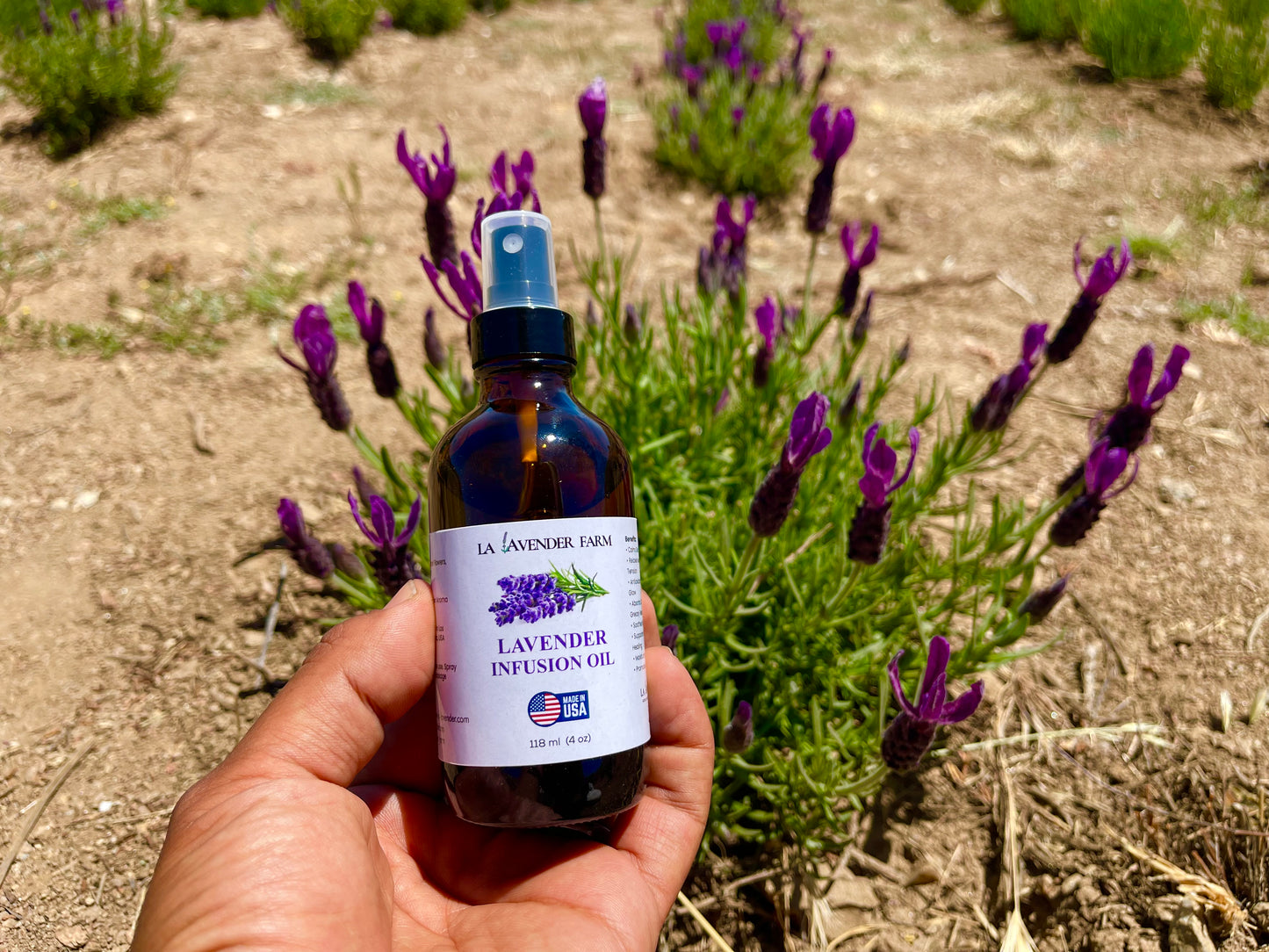 Organic Lavender Infusion Oil - 4oz Glass Bottle (118ml) - Hydrating & Moisturize & nourish the skin - Infused with Grapeseed Oil